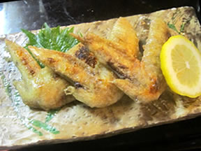 下妻 お鮨 鮨和 メニュー 鳥手羽焼き