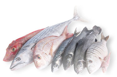 下妻 八千代 お寿司新鮮な魚